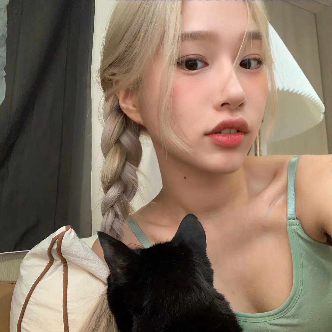 新猛龙过江